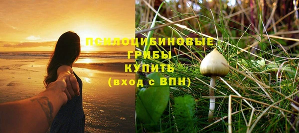 дмт Лабытнанги
